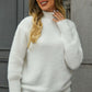 Turtle Neck Long Sleeve Pullover Sweater